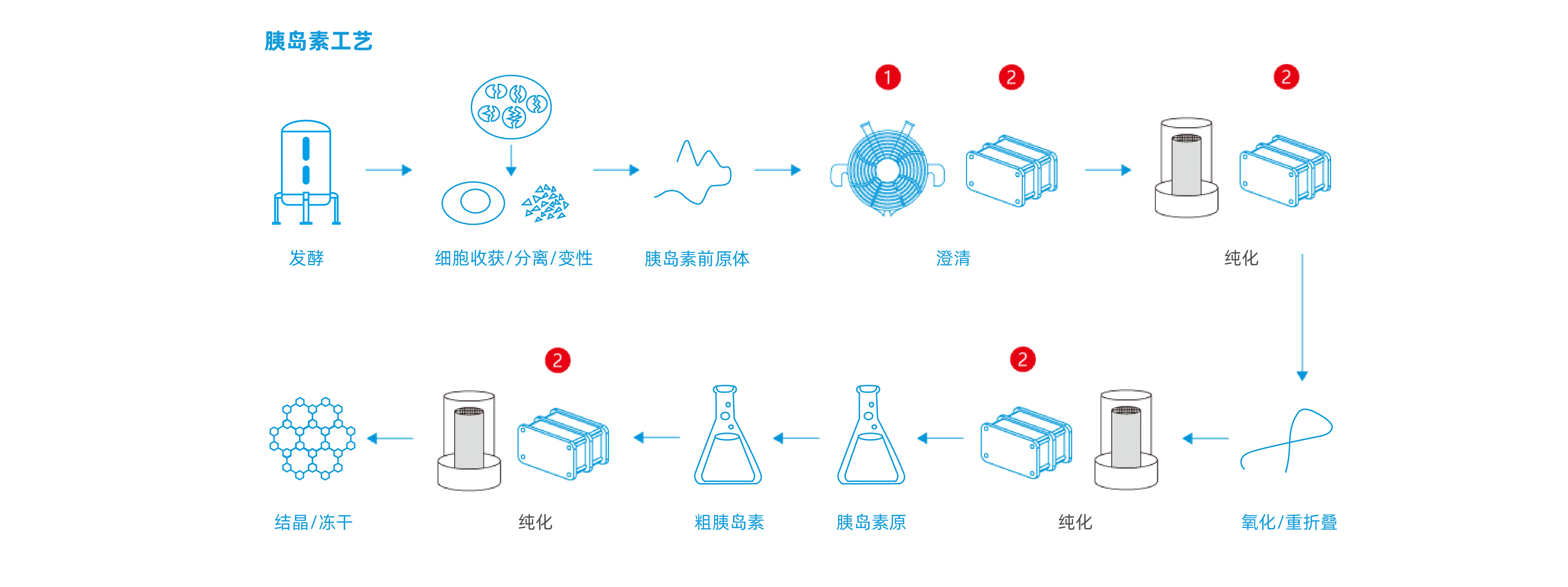 胰島素工藝圖1-01.png